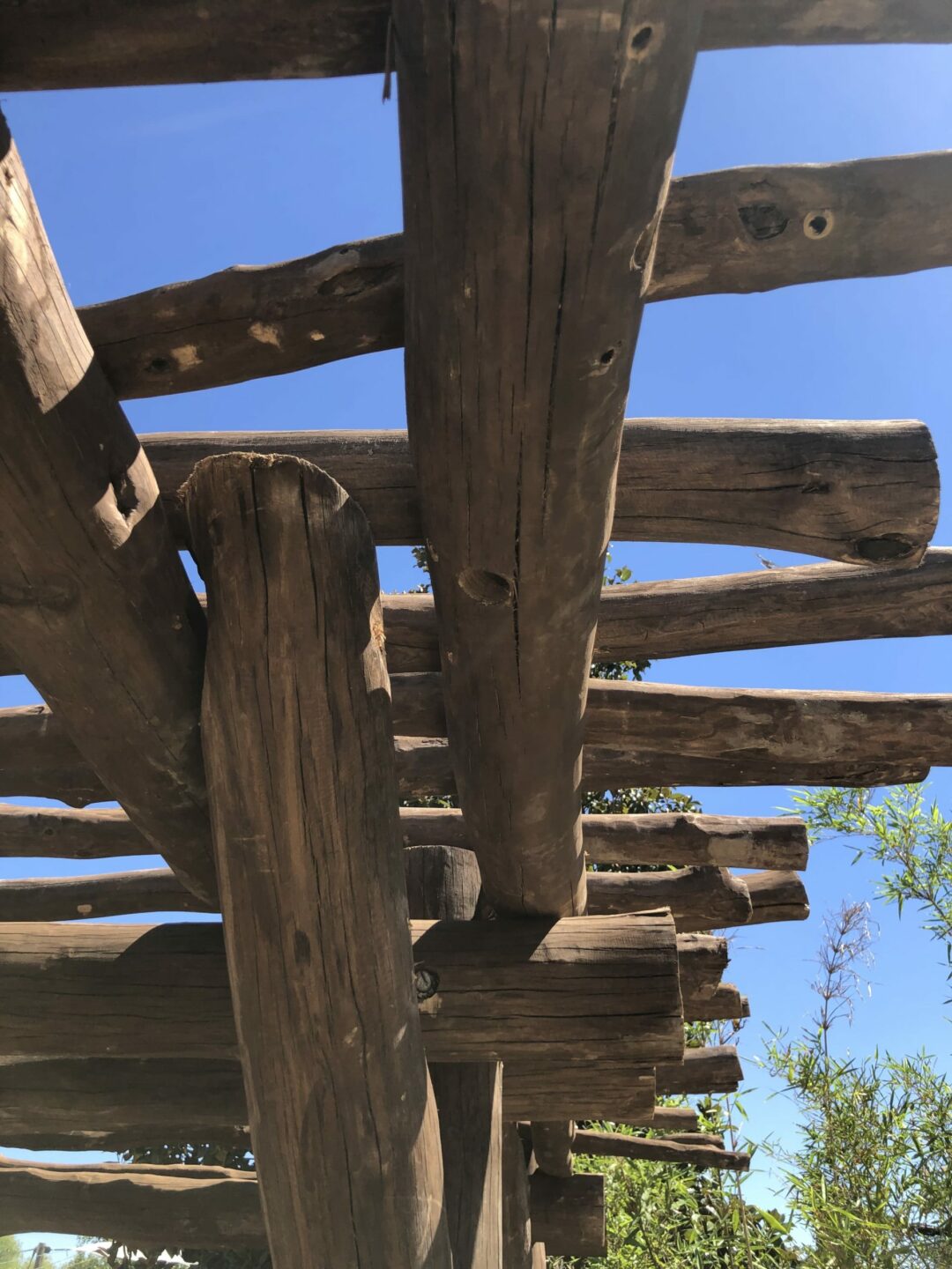 Houston Zoo Pantanal Area